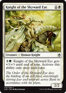 Knight of the Skyward Eye