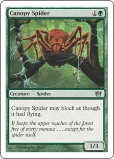 Canopy Spider