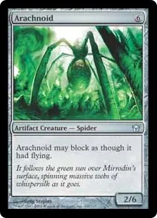 Arachnoid